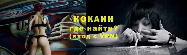 прущие грибы Касимов